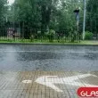 Дъждът, който мирише на живот: Какво е петракор и защо ни омагьосва?