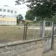 След сигналите за насилие: Омбудсманът настоява за закриване на интерната