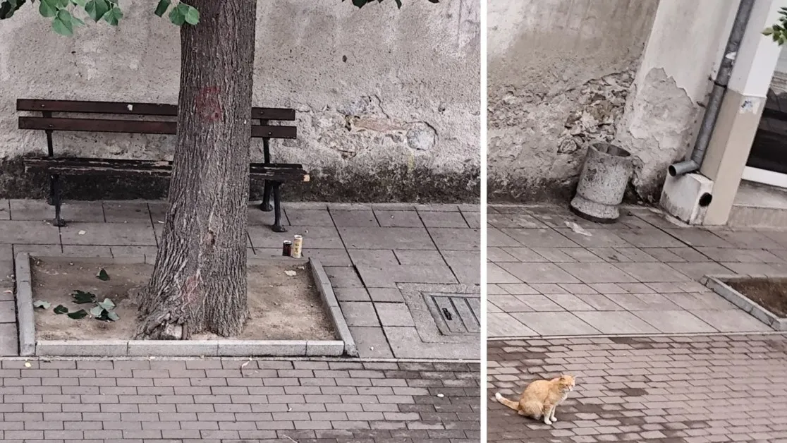 Кошче на 2 крачки, вътре е културата, а не боклуците
