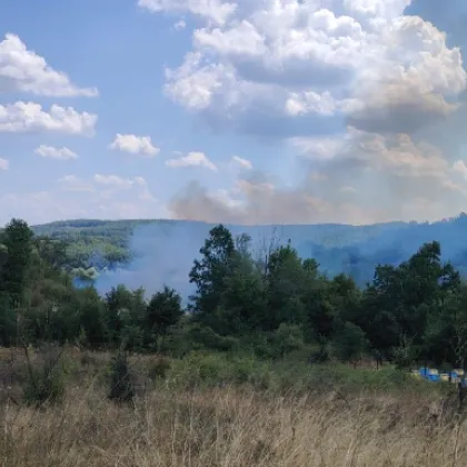 Пожар е пламнал в местността Стублата в района на пътя