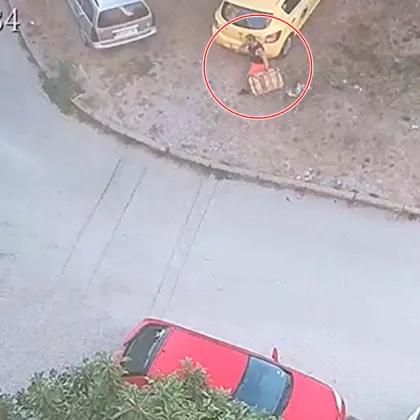 С необичаен но вече повтарящ се проблем се сблъсква жител