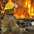79-годишна жена пострада при пожар в село Сбор