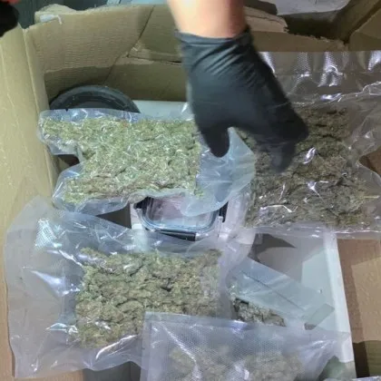 Служители на МВР иззеха над килограм и половина марихуана и