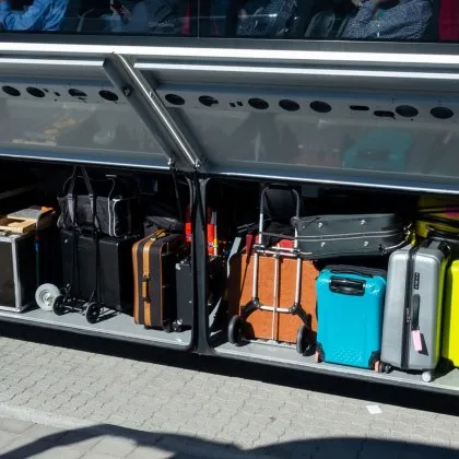 Властите в Нова Зеландия повдигнаха обвинения срещу жена в небрежност