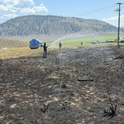 Риба изпусната от орел рибар прелитащ над Британска Колумбия Канада