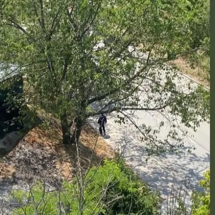 Неизвестен тормози деца във вход на жилищна сграда СНИМКА
