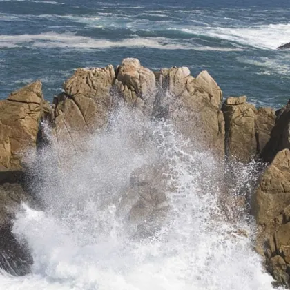 Спасители върнаха към живота две сестри на 16 и 18