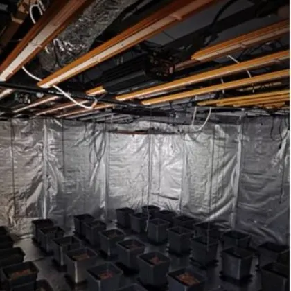 Столичната полиция разкри модерно оборудвана наркооранжерия в Студентски град Полицейската