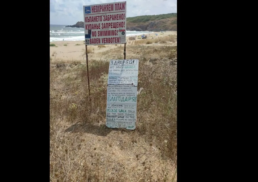 "Може да изглежда малко наивно, но е похвално!" СНИМКИ