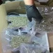 Тревата расте под земята: Какво разкриха в „Студентски град"