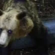 Мечета правят пакости край Шипка СНИМКИ