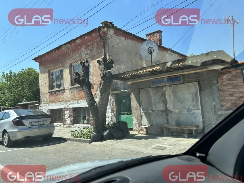 Чирпанските улици остават без сянка, отрязаните клони пречат с дни