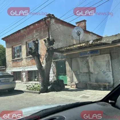Чирпанските улици остават без сянка, отрязаните клони пречат с дни