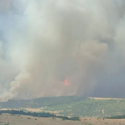 Постъпленията до тази сутрин по дарителската сметка разкрита от община