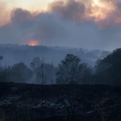 олям пожар е избухнал вчера следобед в местността Радинчево между