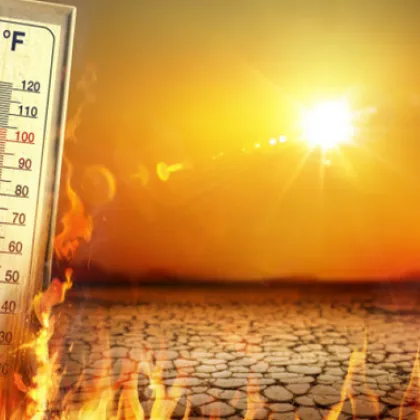 В София днес преди обяд лятото ще се завърне обяви