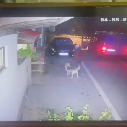 Късно снощи Тетевен изгуби една чиста душа уличното куче