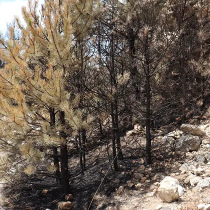 Дъждът който вали над Югозападна България не може да потуши