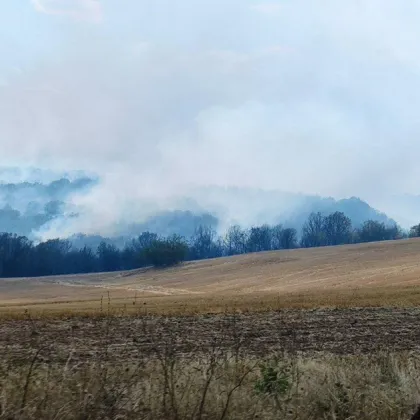 Със своя заповед кметът на Община Харманли обяви частично бедствено положение във
