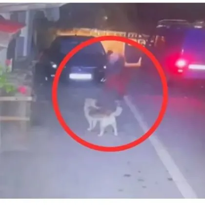 Районен съд Тетевен определи мярка за неотклонение домашен арест на 39 годишния Н Н