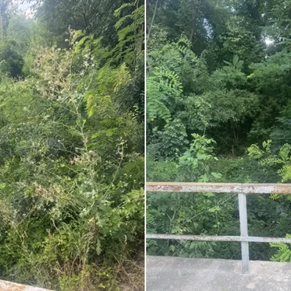 Диана Георгиева от Килифарево изрази сериозното си притеснение във Facebook относно състоянието