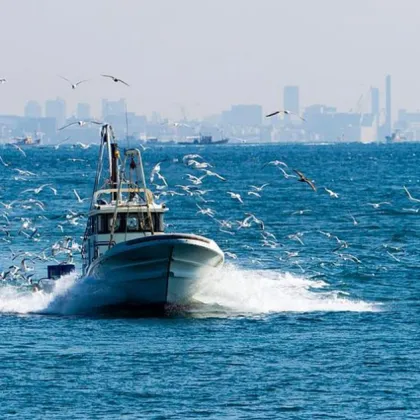 Трима души са ранени след като лодка със седем пътници