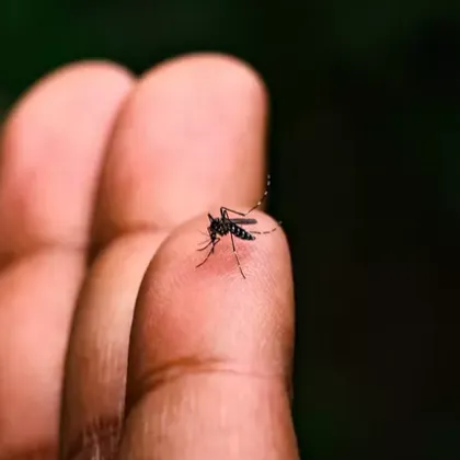 Задайте календара си обратно на 2020 г защото Китай въвежда