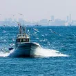 Лодка се разби в скали край Северна Гърция, има ранени