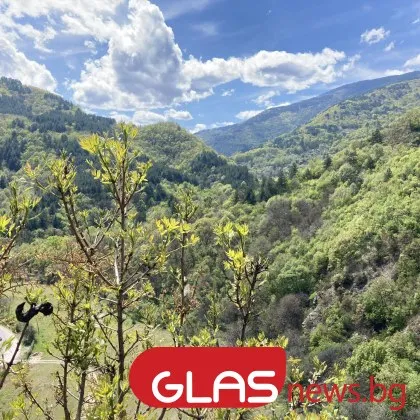 Времето днес ще бъде слънчево след обяд над планинските райони