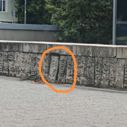 В свят в който често се сблъскваме с безразличие вандализъм