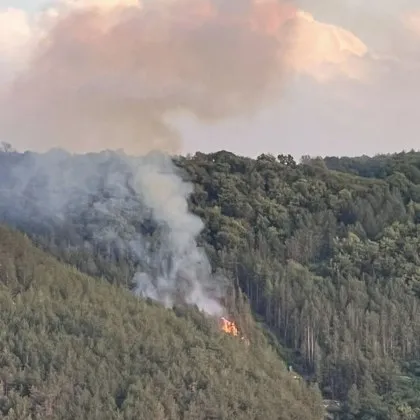 Пожар пламна край Шумен СНИМКИ и ВИДЕА
