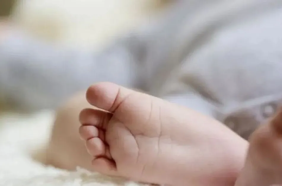 Отчетоха летен бейби бум в София!