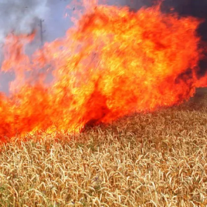 Увеличава се опасността от разпалване на пожари в следващите дни