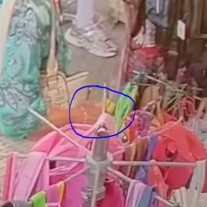 Грозна постъпка на достолепна дама попадна на видео Случката се разиграва