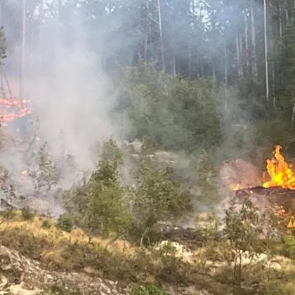 Детска игра с пиратки е причина за пожара в гората