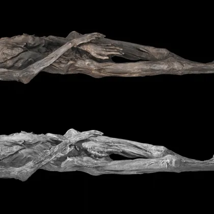 От племенни символи до името на бивш партньор хората украсяват