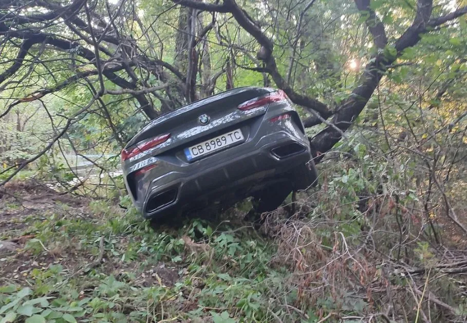 БМВ "кацна" на дърво на Витоша СНИМКИ