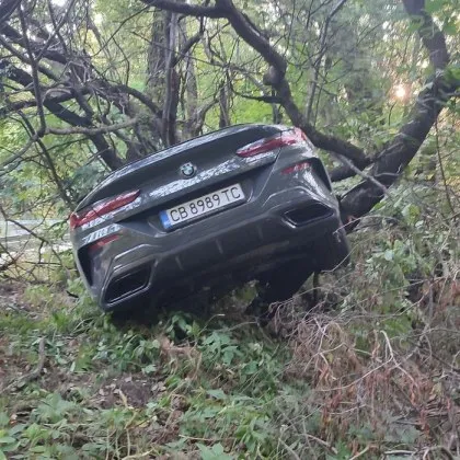 БМВ "кацна" на дърво на Витоша СНИМКИ