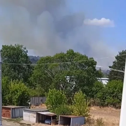 Евакуираха 40 души заради пожара край Сунгурларе