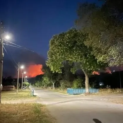 Нов случай на огнено бедствие у нас Голям пожар гори