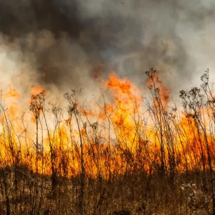 Нов пожар избухна край Костинброд По искане на кмета на