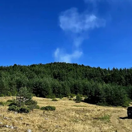 Пожар възникна в гората над с. Добростан СНИМКИ