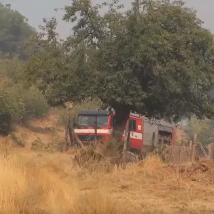 Нова вълна от пожари в страната В Сунгурларе се борят