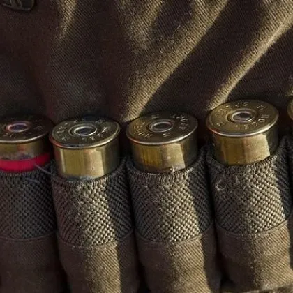 От 9 август започва ловният сезон за пъдпъдъци гургулици гривяк