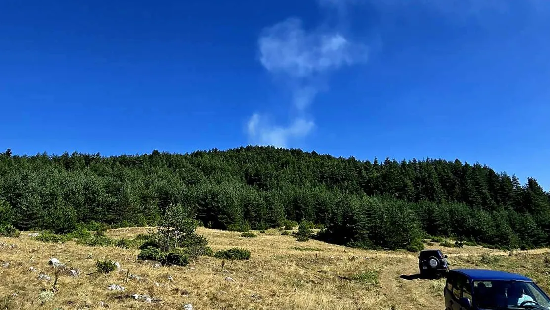 Пожар възникна в гората над с. Добростан СНИМКИ