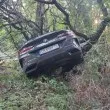 БМВ "кацна" на дърво на Витоша СНИМКИ