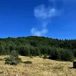 Пожар възникна в гората над с. Добростан СНИМКИ