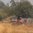 Пожарът в Сунгурларско е овладян, унищожени са близо 10 000 дка гора