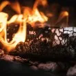 Задържаха мъж, подпалил пожар в Старозагорско