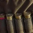 Започва ловният сезон за птици
